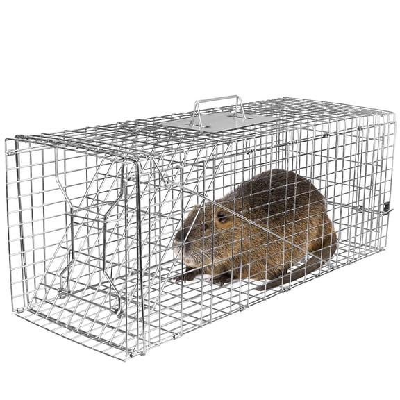 Humane Animal Trap Cage (30.51x11.02x11.81in) - Galvanized Sturdy Wire Mesh, Sensitive Trigger & Dual Doors, Handle Guard Plate, Collapsible for Raccoons, Opossums, Skunks Under 16.5lbs