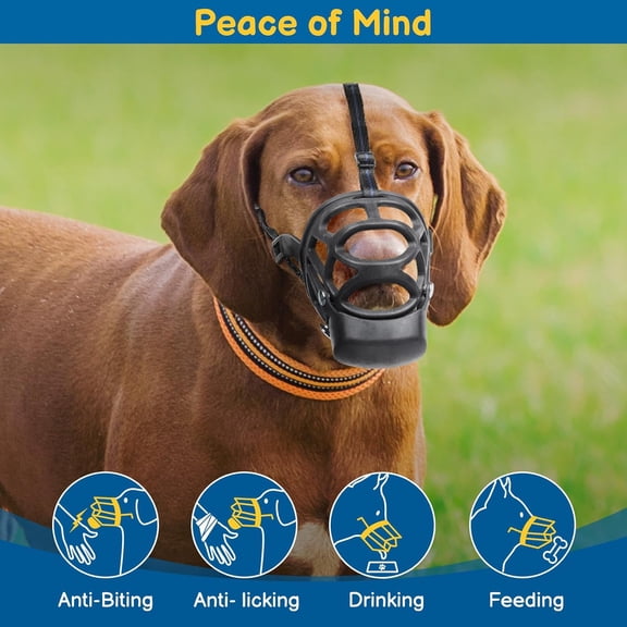 Humane Basket Muzzle for Large Dogs - Adjustable Mouth Guard with Snap-On Treat Cover - Prevents Biting/Scavenging - Ideal for Positive Training/Grooming