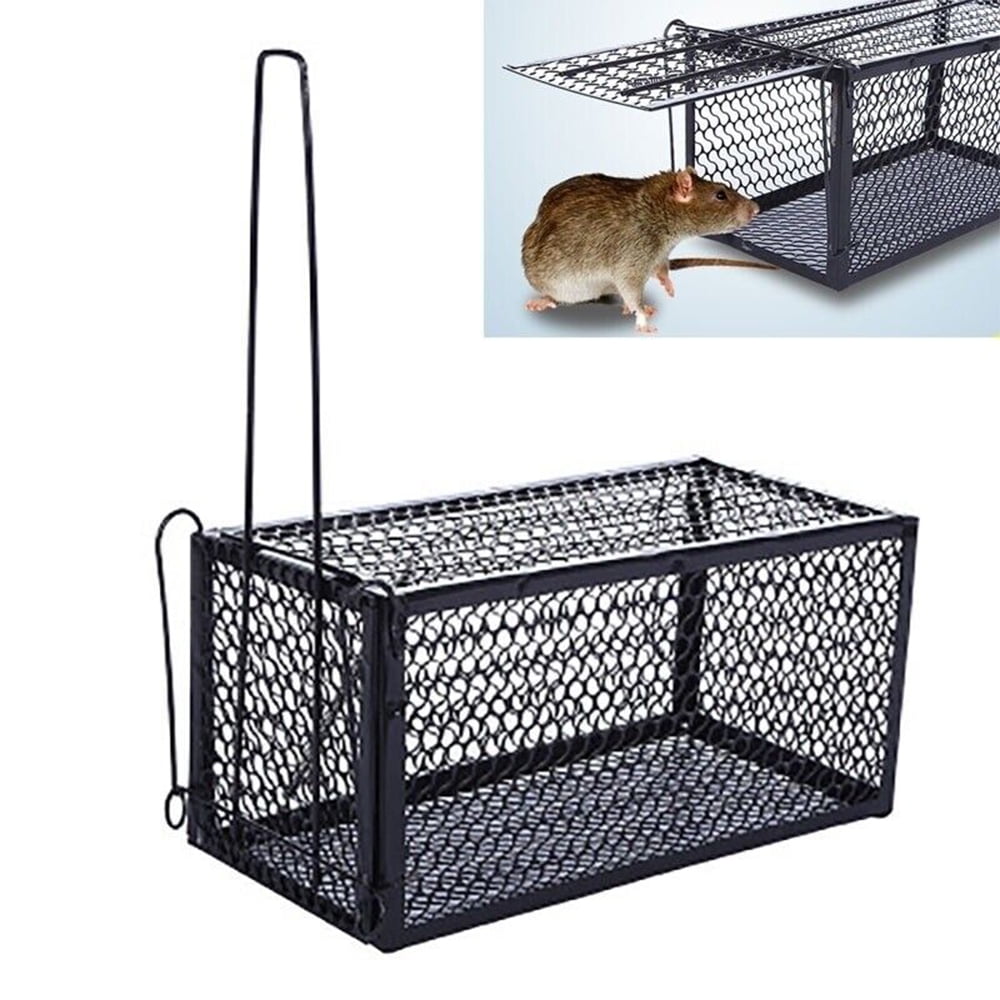 Kensizer Humane Rat Trap, Chipmunk Rodent Trap That Work for Indoor and  Outdoor Small Animal - Mouse Voles Hamsters Live Cage Catch and Release