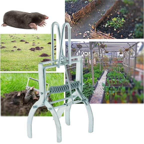 Humane Capture Management Tool 1pack, Heavy-Duty Scissor Trap for Garden Lawn and Yard Maintenance, Plated Steel Professional Management Tool