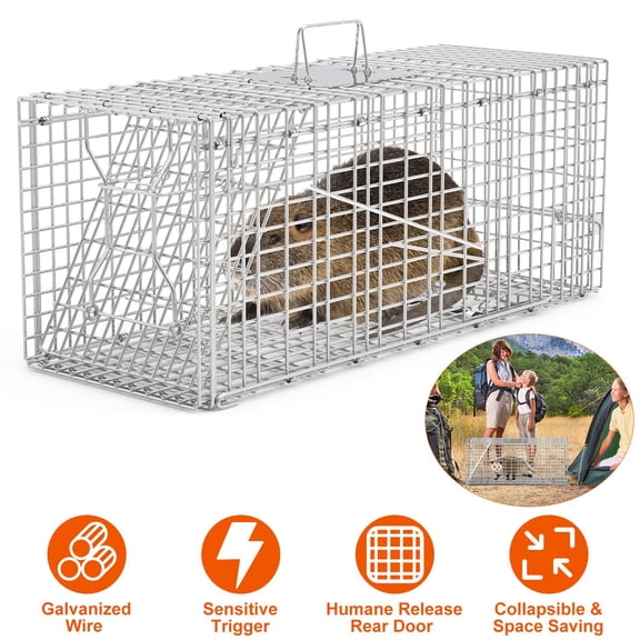 Humane Live Animal Trap Cage 30.5"x11"x11.8", Heavy-Duty Galvanized Steel Mesh for Raccoons, Cats, Opossums, Skunks Under 16.5 lbs, Sensitive Trigger, Collapsible Design with Safety Handle Guard