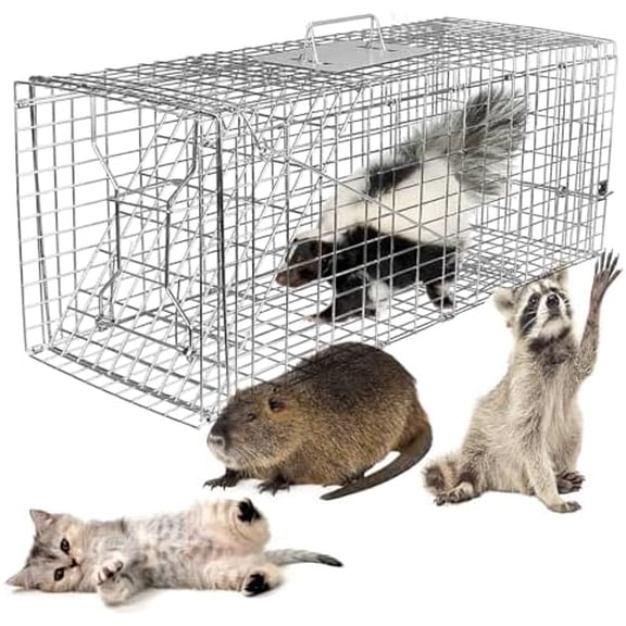 Humane Live Animal Trap Large Animal Cat Trap 32x12.5x12 inches Catch Release Rodent Cage Collapsible Galvanized Wire for Raccoons Beavers Groundhogs Small Foxes Dogs$$Garden & Patio