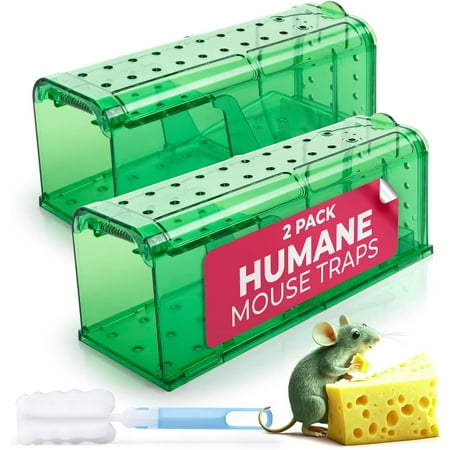 Humane Mouse Trap Pack of 2 - Live Mouse Traps Catch and Release Trap for Indoor and Outdoor Use - Reusable Mouse Traps, Safe & Effective No Kill Mouse Traps - Mouse Traps Catch and Release (Green)