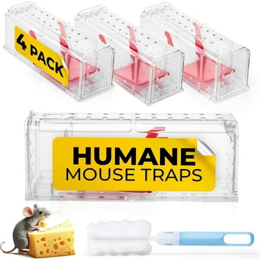 Humane Mouse Trap Pack of 4 - Live Mouse Traps Catch and Release Trap for Indoor and Outdoor Use - Reusable Mouse Traps, Safe & Effective No Kill Mouse Traps - Humane Mouse Traps Catch and Release
