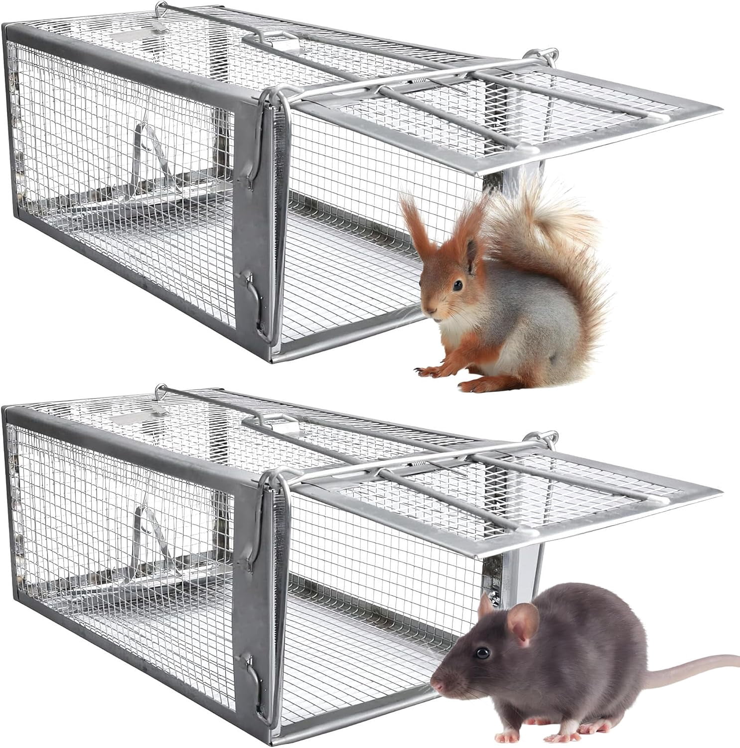 Humane Rat Traps 2-Pack, No Kill Small Animal Cage Trap, Live Mouse ...
