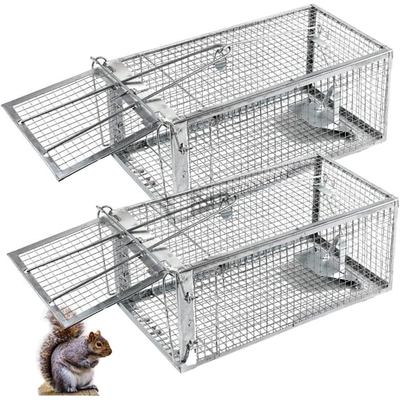 Humane Squirrel Trap - 2 Pack, Rat Trap That Works 12.5"x6.5"x5.5", Small Rodent, Chipmunk Trap Cages | Catch and Release | Reusable and Durable | No Kill Animal Trap | Indoor for Home and Outdoors