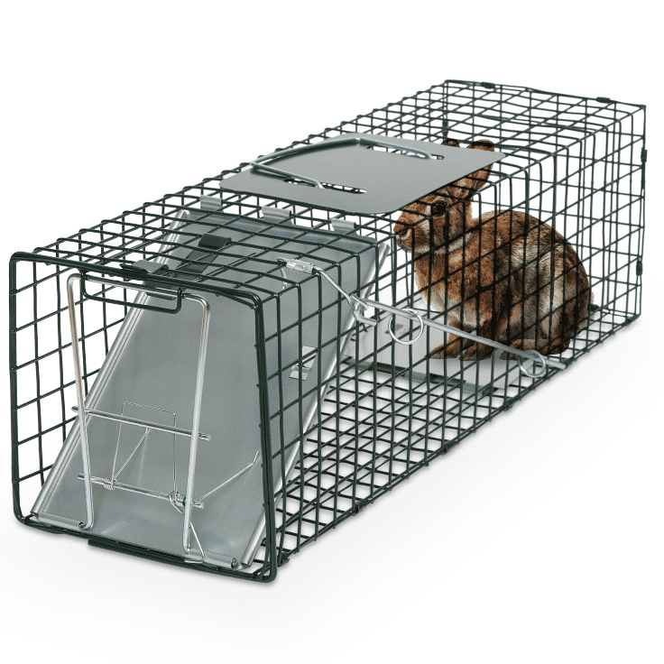 Humane Way SENTINEL 24 Inch Live Animal Trap - No Assembly Required - Safe Small Traps for All Animals - Cat, Squirrel, Rabbit, Rodent - 24"L x 7.5"W x 7.5"H