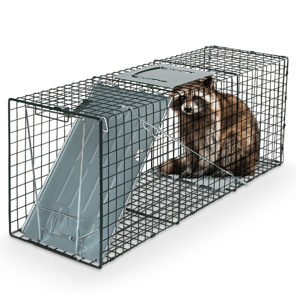 Humane Way SENTINEL 32 Inch Live Animal Trap - No Assembly Required - Safe Medium Traps for All Animals - Raccoons, Cats, Groundhogs, Opossums - 32"L x 10.5"W x 12.5"H