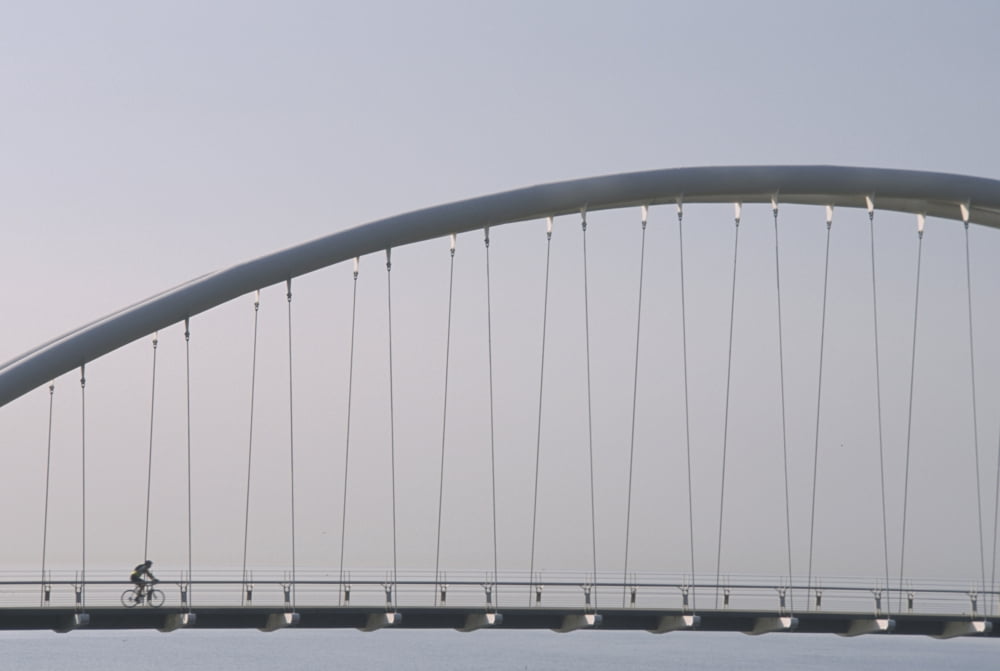 Humber River Bridge Toronto Ontario Canvas Art - Alan Sirulnikoff Design Pics (34 x 22)