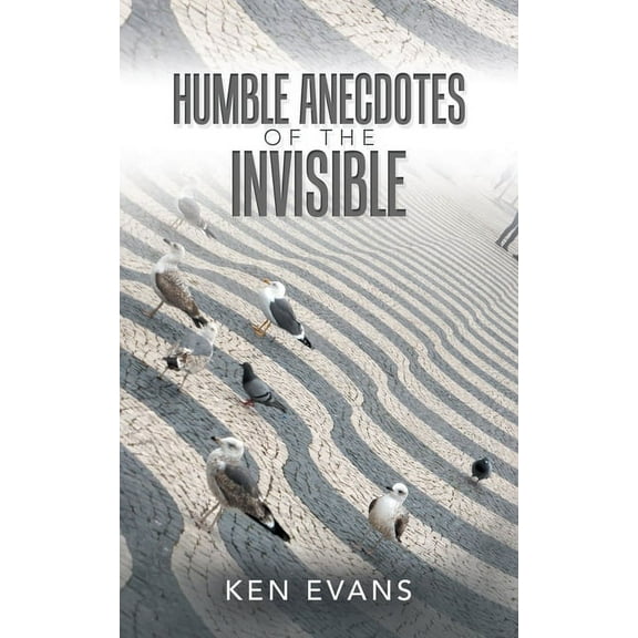 Humble Anecdotes of the Invisible (Paperback)