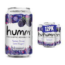 Humm Kombucha, Blackberry, 12 Pack, 12 oz Cans