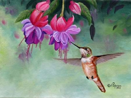 Hummer and Pink Fuchsias Canvas Art - Julie Peterson (22 x 28)