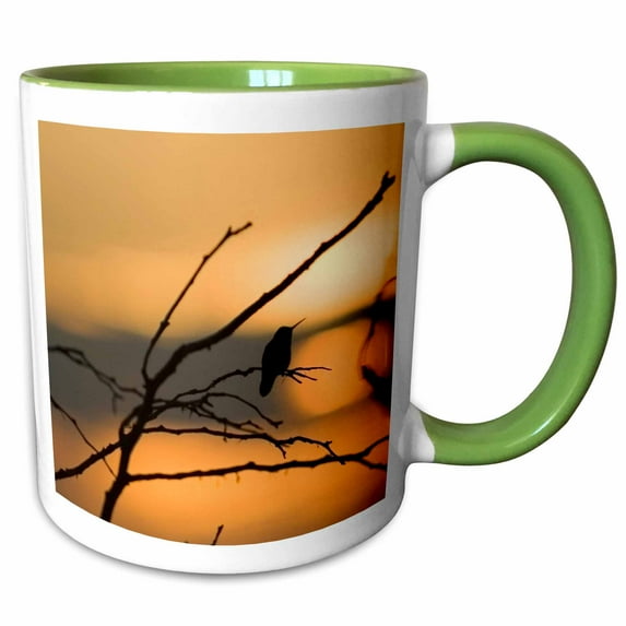 3drose, Humming Bird Silhouette, 11oz Two-tone Green Mug