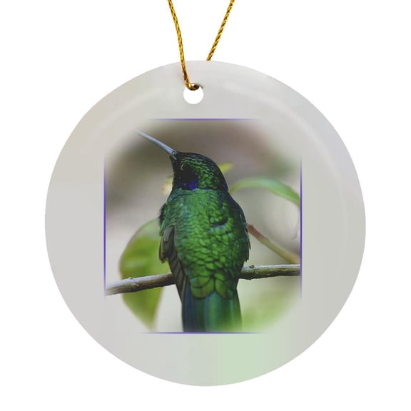 3drose, Humming Bird up Close, Circle Porcelain Ornament