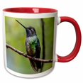 thumbnail image 1 of 3drose, Hummingbird, 15oz Two-tone Red Mug, 1 of 6