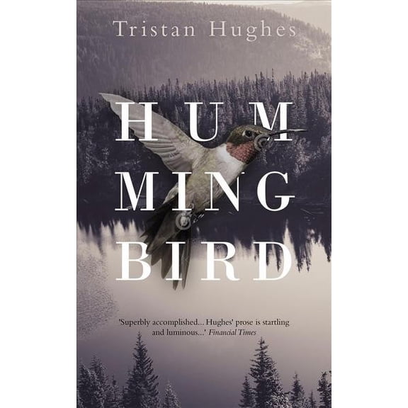 Hummingbird