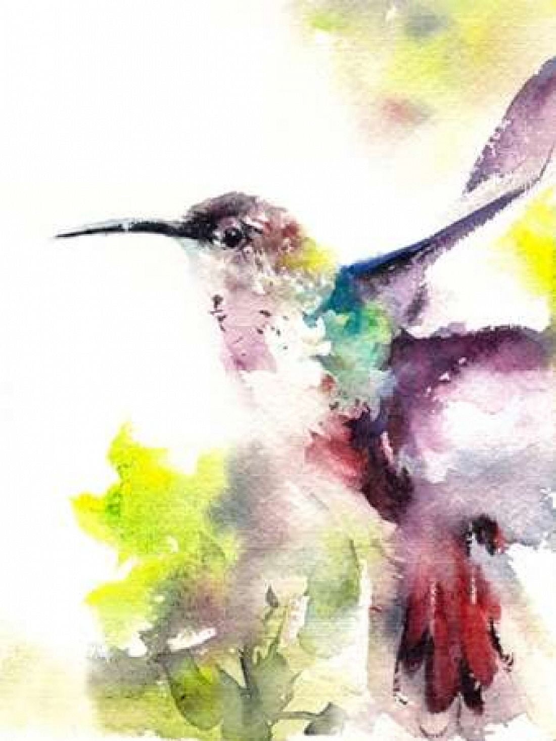 Hummingbird Canvas Art - CanotStop (22 x 28)
