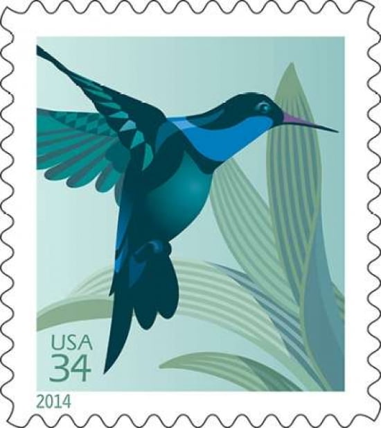 Hummingbird Canvas Art - US POSTAL SERVICE (24 x 24)