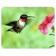 thumbnail image 1 of Hummingbird Coasters, 1 of 1