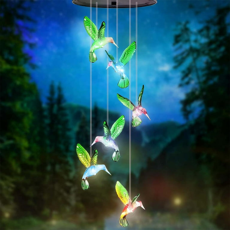 Hummingbird solar string lights shop