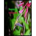 thumbnail image 1 of Hummingbird Coloring Book : An Adult Coloring Book Featuring Charming Hummingbirds, Beautiful Flowers and Nature Patterns for Stress Relief and Relaxation (Paperback), 1 of 1