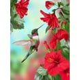 thumbnail image 1 of Hummingbird | Cross Stitch Needlework Embroidery Kits (printed canvas), 1 of 6