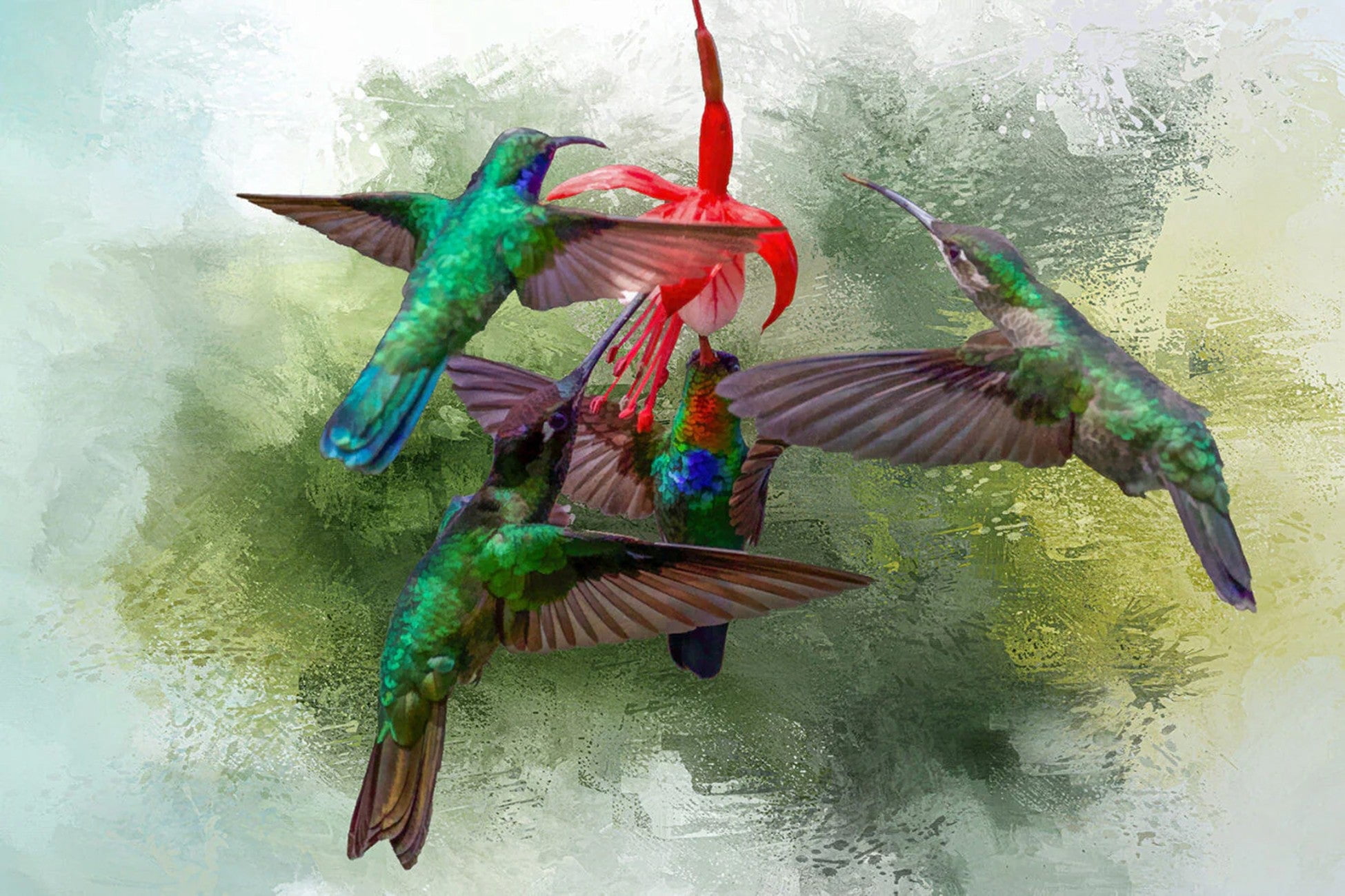 Panel Sweatpants Hummingbird Family Panel 24in x 16in - Walmart.com