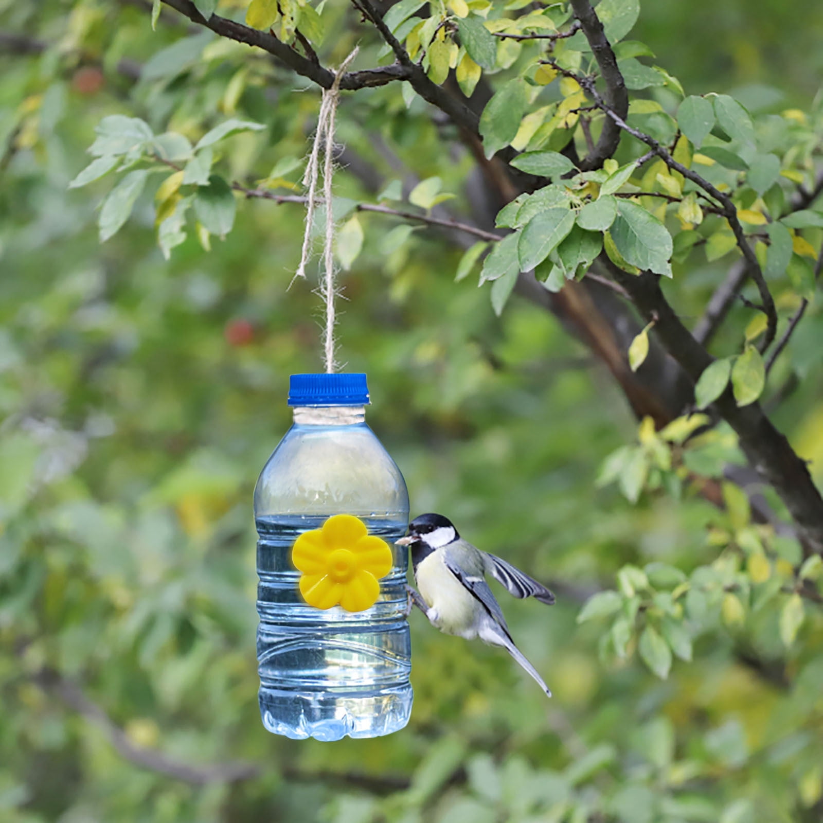 Hummingbird Feeder, 2025 Hummingbird Feeder 2025 DIY Outdoor Feeder DIY