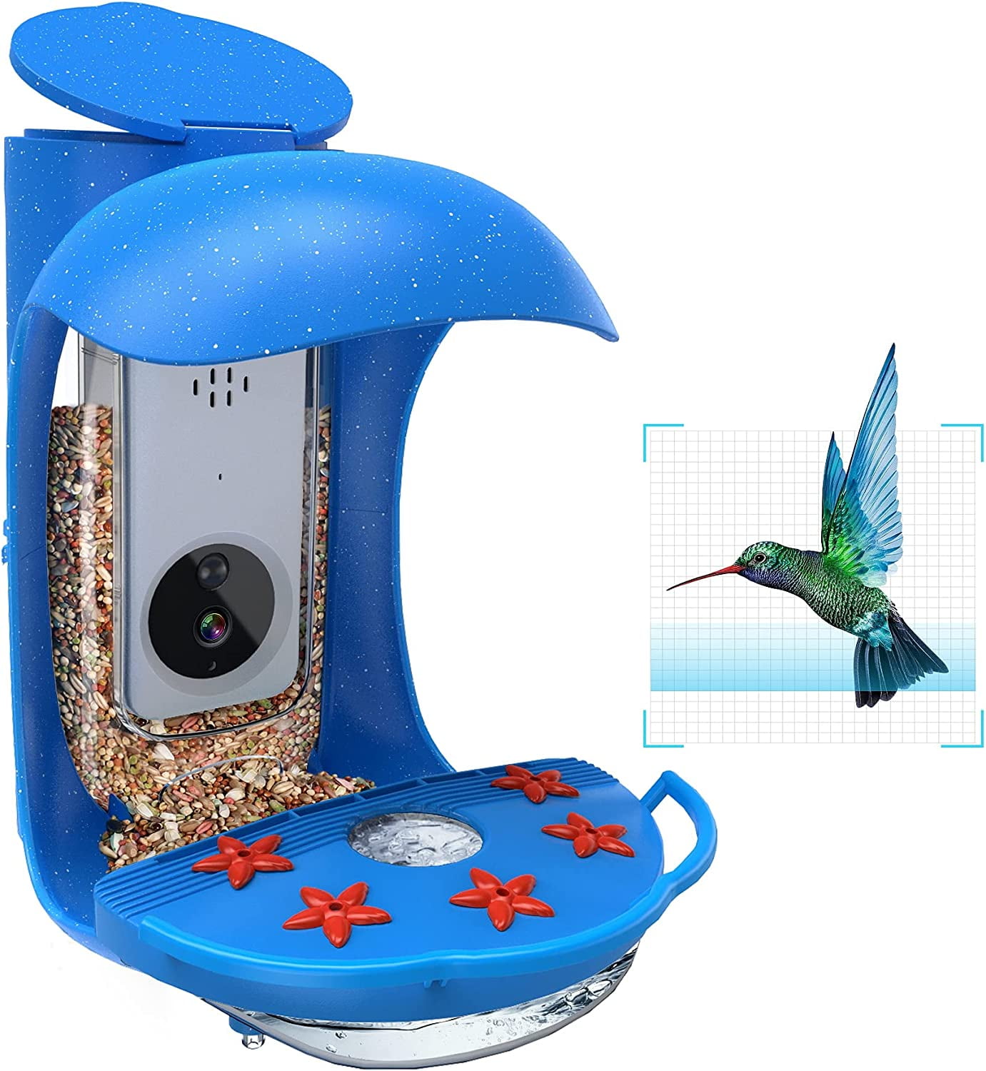 Bird feeder camera online