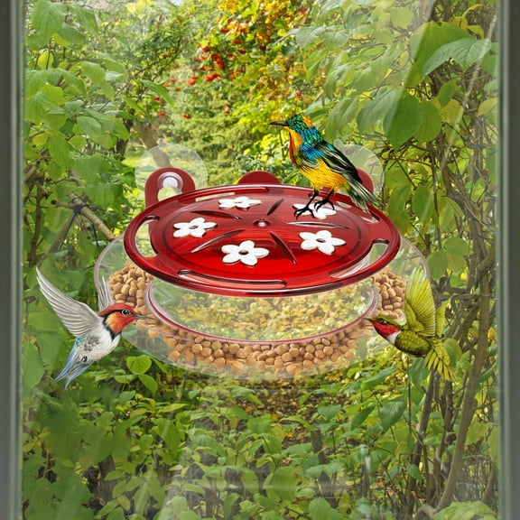 Hummingbird Feeder, Round Window Bird Feeder, Metal Frame Bird Feeder, Suction Cup Hummingbird Feeder, Easy Installation Bird Feeder for Bird Watching