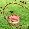 Hummingbird Feeders For Outdoors Courtyard Bird Feeder Red Berries