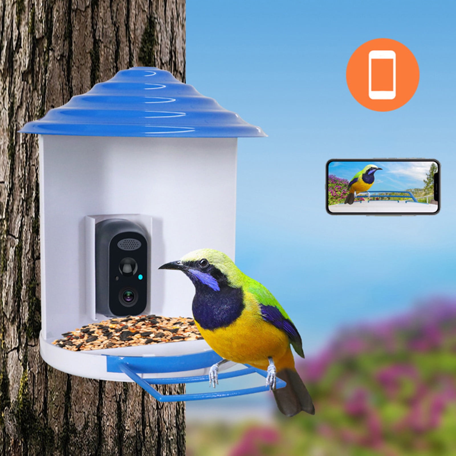 Hummingbird Feeders for Outdoors, Bird Feeder with Camera Bird Watching Camera Automatically