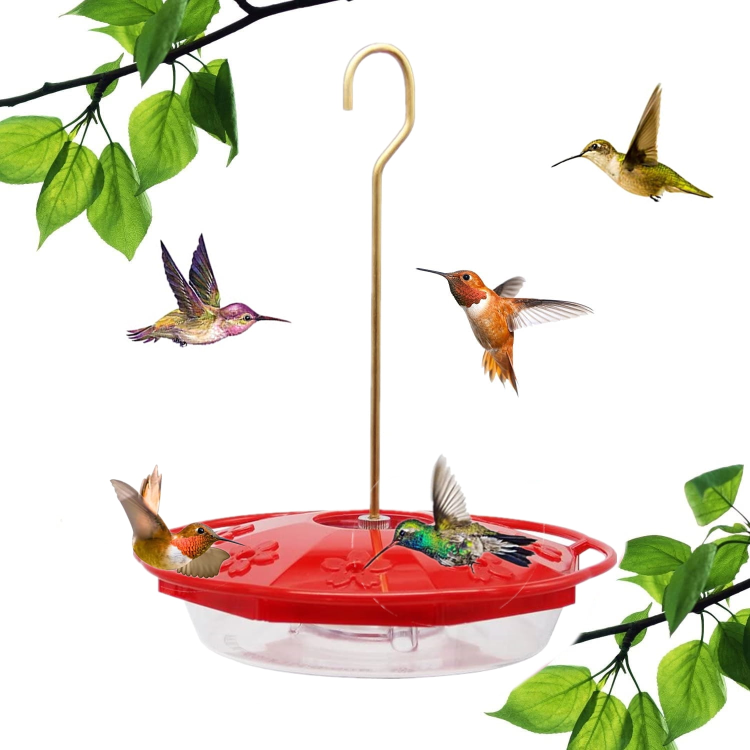 Hummingbird Feeders for Outdoors, Hummingbird feeder, Bird Feeders for
