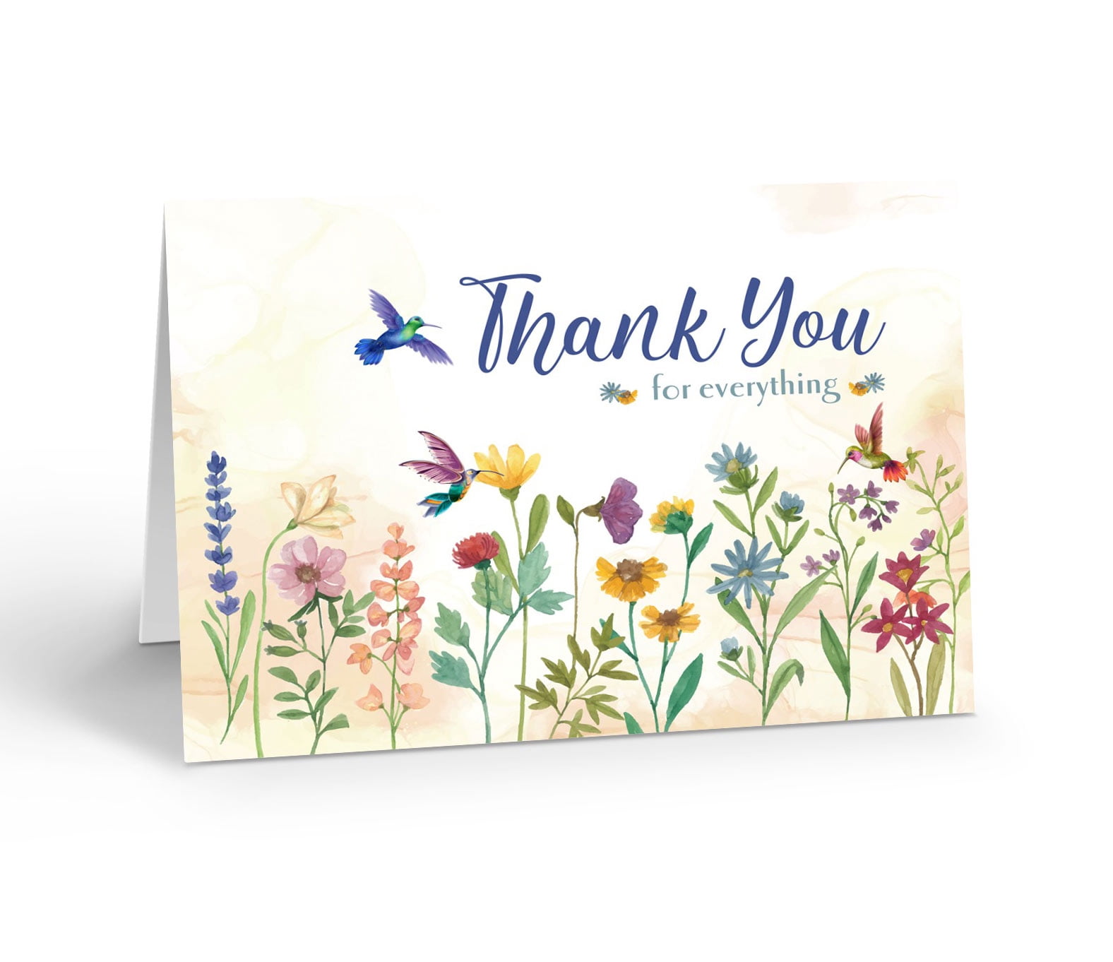 Hummingbird Floral Thank You Note Cards for Any Occasion - 10 Note ...
