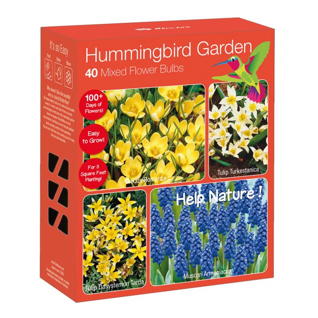 Shop Hummingbird Garden Nature Friendly Live Perennial Collection