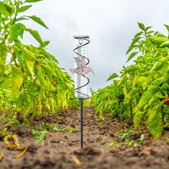 Hummingbird Glass Rain Gauge, 7-Inch Capacity Garden Rain Collection Tool, Outdoor Glass Rain Measuring Device, Stylish Garden Stake Rain Detector