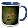 thumbnail image 1 of 3drose, Hummingbird in Flight - Red Vine, 11oz Two-tone Blue Mug, 1 of 6