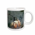 thumbnail image 1 of 3drose, Hummingbird in Nest, 11oz Mug, 1 of 6