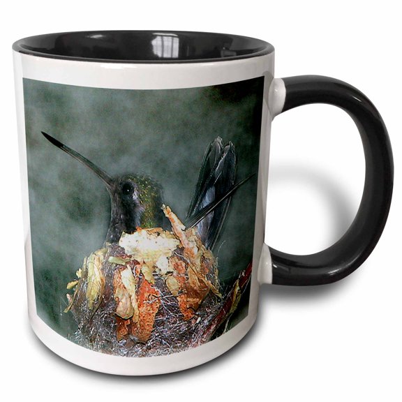 3drose, Hummingbird in Nest, 11oz Two-tone Black Mug
