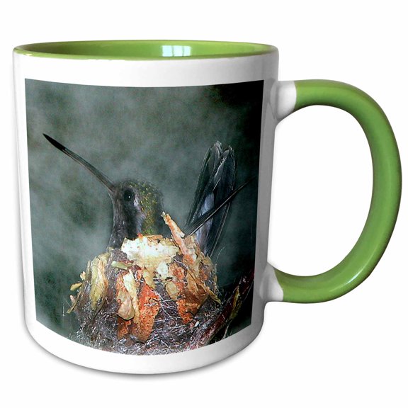 3drose, Hummingbird in Nest, 11oz Two-tone Green Mug