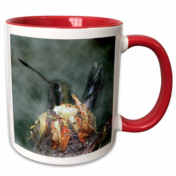 3drose, Hummingbird in Nest, 11oz Two-tone Red Mug