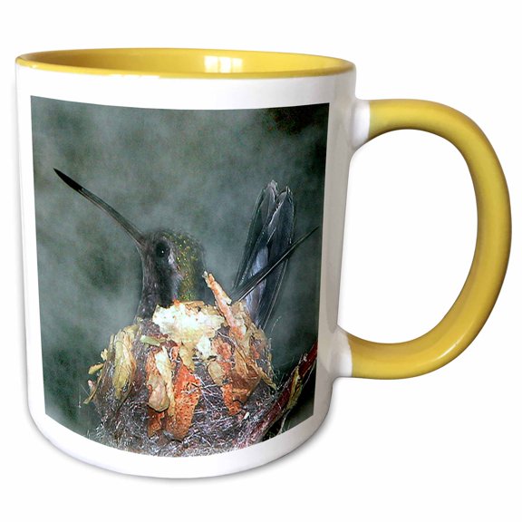 3drose, Hummingbird in Nest, 11oz Two-tone Yellow Mug
