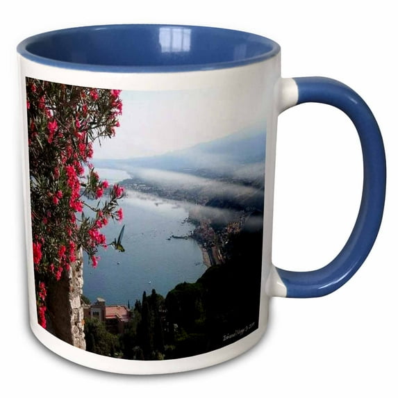 3drose, Hummingbird in Sicily Italy, 15oz Two-tone Blue Mug