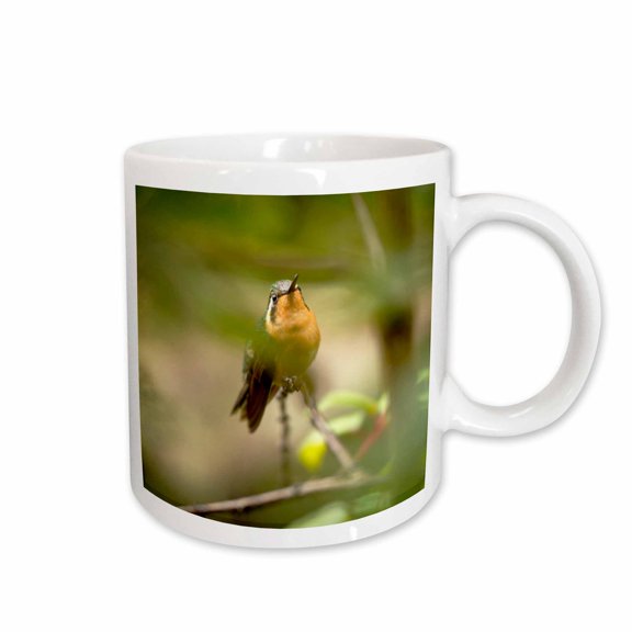 3drose, Hummingbird, Juan Castro Blanco Np, Costa Rica - Sa22 Rsp0015 - Rob Sheppard, 11oz Mug
