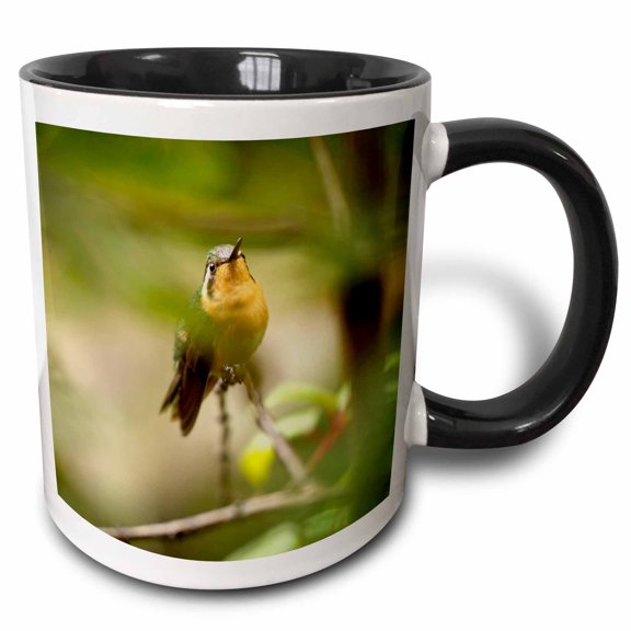 3drose, Hummingbird, Juan Castro Blanco Np, Costa Rica - Sa22 Rsp0015 - Rob Sheppard, 15oz Two-tone Black Mug