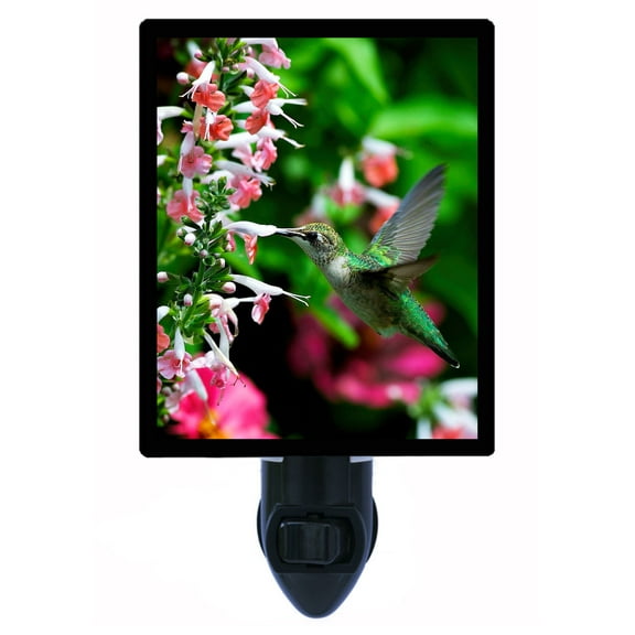 Night Light - Pretty in Pink. | Hummingbird Theme, Includes Free Switchable Insert, 4W Bulb, E12 Base