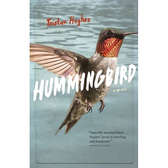 Hummingbird (Paperback)