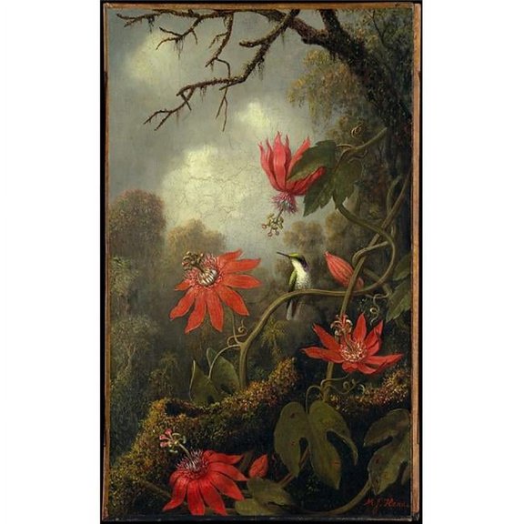 Hummingbird & Passionflowers Poster Print by Martin Johnson Heade - 18 x 24