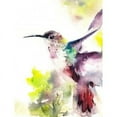 thumbnail image 1 of Hummingbird Poster Print by  CanotStop (11 x 14), 1 of 2