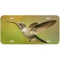 thumbnail image 1 of Hummingbird TAG05 Novelty Car Auto License Plate, 1 of 2